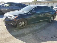 5NPE24AF6HH544396 2017 HYUNDAI SONATA