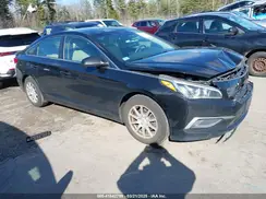 5NPE24AF6HH547668 2017 HYUNDAI SONATA