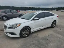 5NPE24AF6HH552496 2017 HYUNDAI SONATA