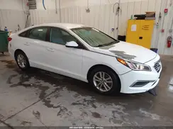5NPE24AF6HH554359 2017 HYUNDAI SONATA