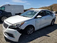5NPE24AF6HH554376 2017 HYUNDAI SONATA