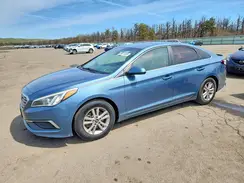 5NPE24AF6HH555995 2017 HYUNDAI SONATA
