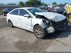 5NPE24AF6HH559352 2017 HYUNDAI SONATA