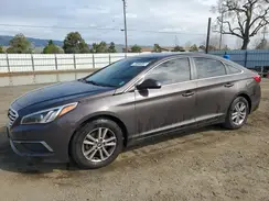 5NPE24AF6HH559769 2017 HYUNDAI SONATA