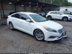 5NPE24AF6HH560341 2017 HYUNDAI SONATA