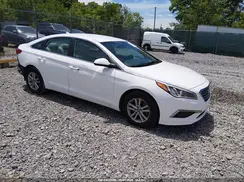 5NPE24AF6HH564177 2017 HYUNDAI SONATA