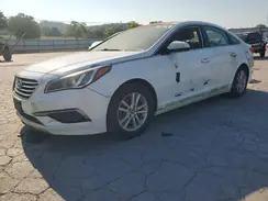 5NPE24AF6HH564941 2017 HYUNDAI SONATA
