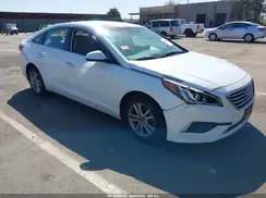 5NPE24AF6HH565572 2017 HYUNDAI SONATA