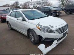 5NPE24AF6HH566172 2017 HYUNDAI SONATA