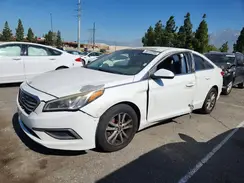 5NPE24AF6HH571193 2017 HYUNDAI SONATA