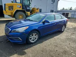 5NPE24AF6HH595297 2017 HYUNDAI SONATA