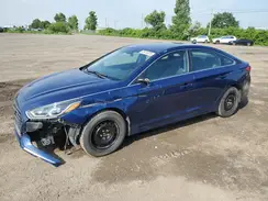 5NPE24AF6JH717436 2018 HYUNDAI SONATA