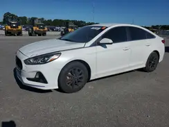 5NPE24AF6KH729149 2019 HYUNDAI SONATA