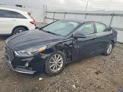 5NPE24AF6KH730303 2019 HYUNDAI SONATA