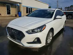 5NPE24AF6KH733766 2019 HYUNDAI SONATA