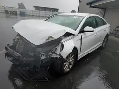 5NPE24AF6KH734352 2019 HYUNDAI SONATA