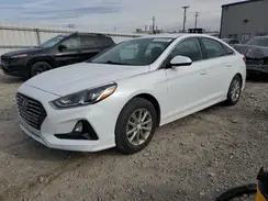 5NPE24AF6KH743553 2019 HYUNDAI SONATA
