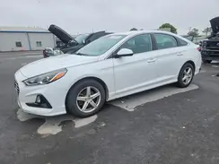 5NPE24AF6KH746923 2019 HYUNDAI SONATA