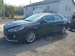 5NPE24AF6KH750812 2019 HYUNDAI SONATA