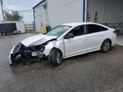5NPE24AF6KH750891 2019 HYUNDAI SONATA