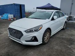 5NPE24AF6KH753841 2019 HYUNDAI SONATA