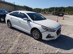 5NPE24AF6KH754391 2019 HYUNDAI SONATA