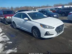 5NPE24AF6KH755864 2019 HYUNDAI SONATA