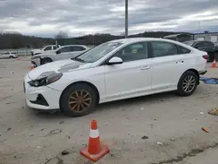 5NPE24AF6KH761650 2019 HYUNDAI SONATA