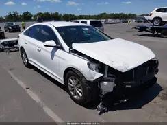 5NPE24AF6KH762443 2019 HYUNDAI SONATA