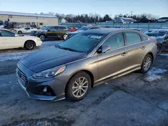 5NPE24AF6KH765505 2019 HYUNDAI SONATA