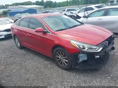 5NPE24AF6KH767190 2019 HYUNDAI SONATA