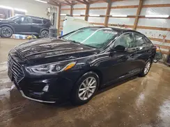 5NPE24AF6KH770011 2019 HYUNDAI SONATA