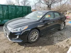 5NPE24AF6KH771093 2019 HYUNDAI SONATA