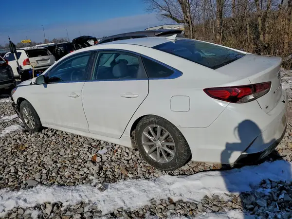 5NPE24AF6KH771255 2019 HYUNDAI SONATA - Image 2