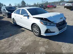 5NPE24AF6KH774236 2019 HYUNDAI SONATA