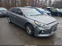 5NPE24AF6KH780215 2019 HYUNDAI SONATA