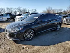 5NPE24AF6KH780389 2019 HYUNDAI SONATA