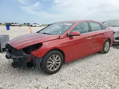 5NPE24AF6KH783924 2019 HYUNDAI SONATA
