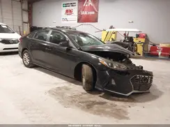 5NPE24AF6KH784877 2019 HYUNDAI SONATA