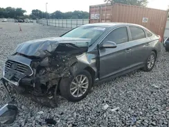 5NPE24AF6KH787147 2019 HYUNDAI SONATA
