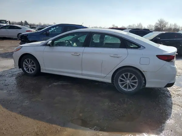5NPE24AF6KH789528 2019 HYUNDAI SONATA - Image 2