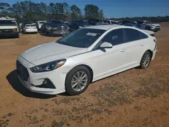 5NPE24AF6KH790159 2019 HYUNDAI SONATA