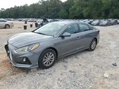 5NPE24AF6KH790484 2019 HYUNDAI SONATA