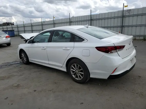 5NPE24AF6KH791005 2019 HYUNDAI SONATA - Image 2