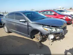 5NPE24AF6KH791795 2019 HYUNDAI SONATA
