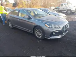 5NPE24AF6KH795569 2019 HYUNDAI SONATA