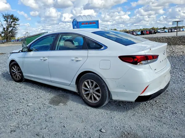 5NPE24AF6KH796382 2019 HYUNDAI SONATA - Image 2