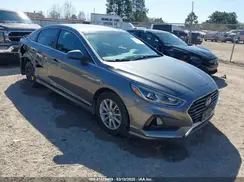 5NPE24AF6KH798696 2019 HYUNDAI SONATA