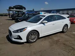 5NPE24AF6KH799282 2019 HYUNDAI SONATA