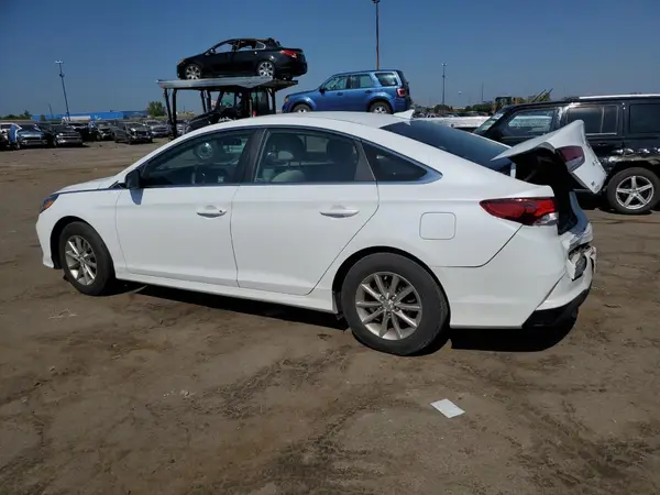 5NPE24AF6KH799282 2019 HYUNDAI SONATA - Image 2
